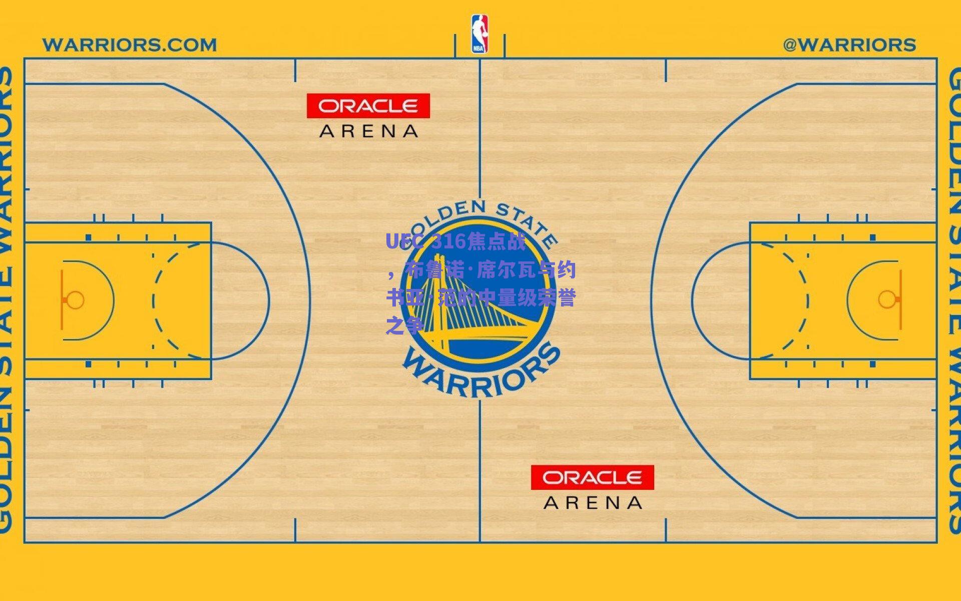 UFC 316焦点战，布鲁诺·席尔瓦与约书亚·范的中量级荣誉之争